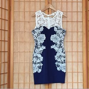 Blue and white Venus lace sheath dress